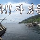 게제 신전 방파제 이미지