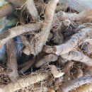 취나물 감초 콩잎 깻잎 서리태 결명자 쥐눈이콩 냉이 이미지