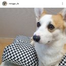 몽스파 연제점 이미지