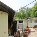 서울정심초등학교 이미지