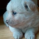 선창민박 이미지