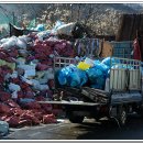 푸른환경자원 이미지