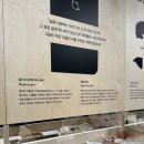 아 인벤타리오 후기 2탄: 솔직히 즐거웠고 멋졌으나 아쉬웠고..?