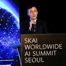 스카이비젼 이미지