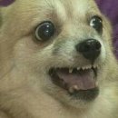 엔토메드 이미지