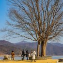 두물머리 이미지