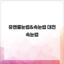 둔산중로-3 네이버블로그