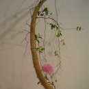 마미플라워 이미지