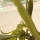 무량농장 이미지