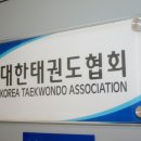 대한태권도 이미지