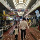 자연산회통영붕장어 | 통영중앙시장맛집 털보활어 신선한 고등어 붕장어 통영회 포장 후기