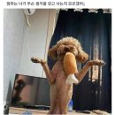바른 얼굴에 바른 기운이 깃든다
