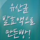로뎀베이커리