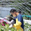 양주시농업기술센터 이미지