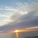 장춘해변횟집 이미지