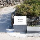 중문관광로 이미지