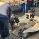 진영전통시장 이미지