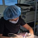 온애 | 송파구동물병원, 치과 선택? &#39;이것&#39; 모르면 후회합니다