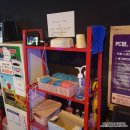 비트동전노래연습장 이미지