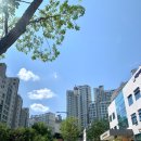 이경은공인중개사사무소 이미지