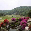 일동레이크 골프클럽 이미지