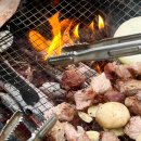 샤크빌리지6 이미지