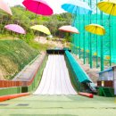 사계절썰매장 이미지