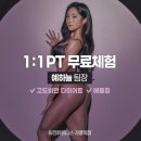 예하늘