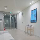 [방문 후기] 고양이 배려가 돋보이는 다정한 ‘다솜 동물병원’, 우리콩이 주치의로 낙점했습니다