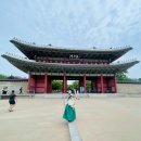 (주)세종메이저인터내쇼날 예산지점 | 서울여행 DAY2 #창덕궁 #팀버튼특별전 #그림카페 #한강라면
