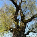 강변쉼터 이미지