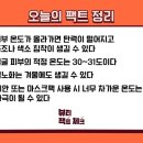 안언니