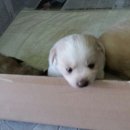 산성장주유소 이미지