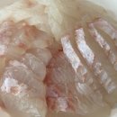 강동횟집 이미지