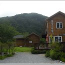 동강의낙원 이미지