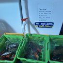 왕곡애견동반펜션 이미지