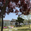 충남 서산 한옥카페 한가로이 넓은마당과 영업시간