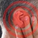 (주)그랜드썬기술단 태양광발전소 이미지