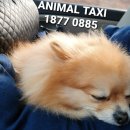 GS25송파중앙점 이미지