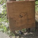 무릉도원면-26 | 강원도 영월 대형견동반 캠핑장 아이와 함께한 시설 깨끗한 케로아인캠프