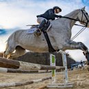 희망-도약 이미지