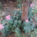 7호선 하계역 이미지