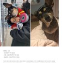 (주)피터펫 | 26년 3월 넷째주 일상