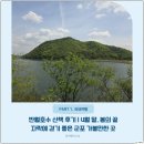 반월봄약국 | 반월호수 산책 후기 | 4월 말, 봄의 끝자락에 걷기 좋은 군포 가볼만한 곳