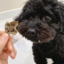 스니피드 이미지