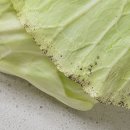 두레김밥 | 임산부꾸러미 지원금 첫 사용! 두레생협 임산부몰 첫 구매 후기 (추천 상품 공개)