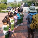 신월초교병설유치원 이미지