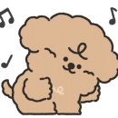 러빙펫 강아지분양 배곧본점 이미지