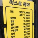머스트헤어(MUST HAIR)