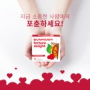 썬라이더 이미지